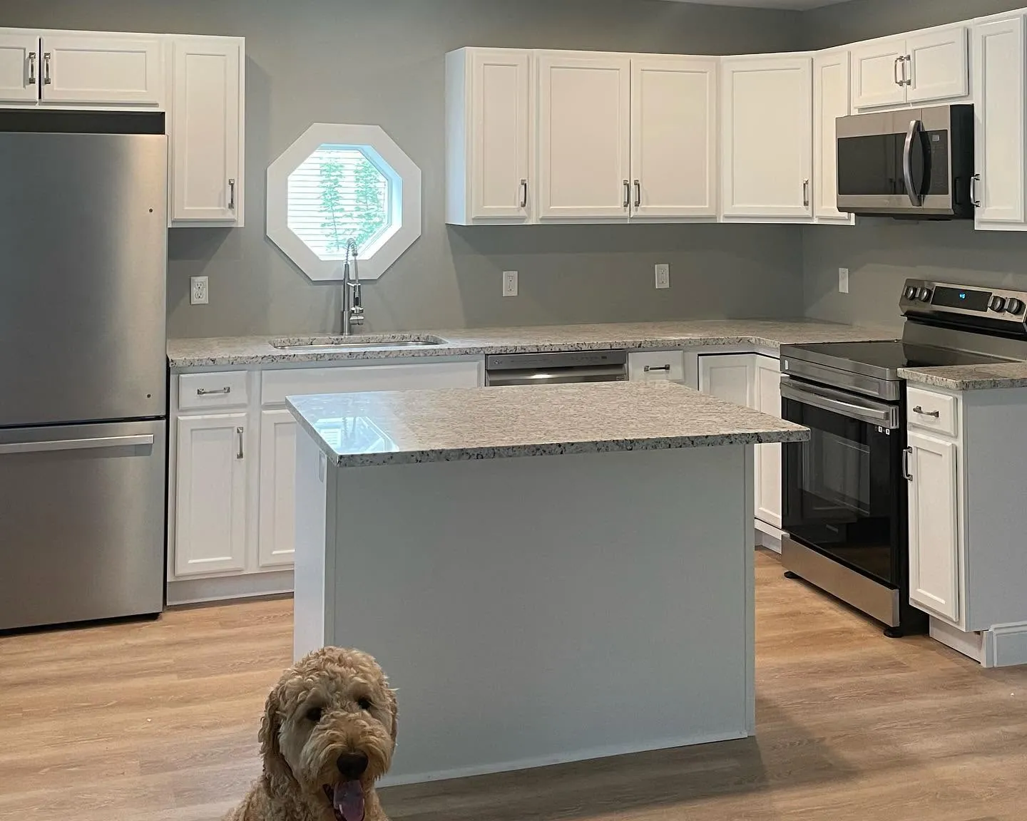 After: the wall is gone, opening onto a new kitchen with white cabinets, stone counters, stainless appliances and an island, with our dog in front